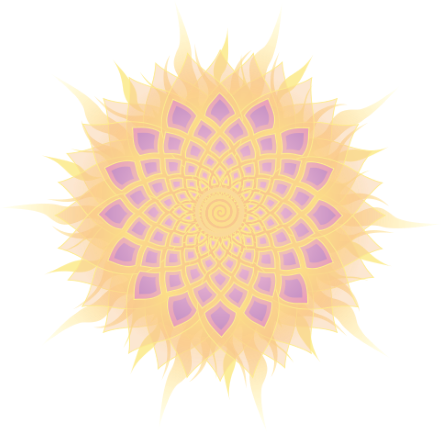 Shankra Logo Half